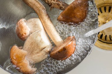 Birch bolete ve porcini mantarları açık mutfakta, beyaz lavaboda akan suyun altında yıkanır. Yemek hazırlama ve ev yemeği için temizlik. Sonbahar yemekleri arka planı