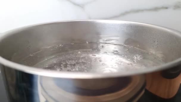 Вода Починає Кипіти Горщику Плиті Кухні Процес Кипіння — стокове відео