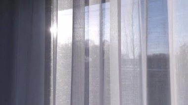 Sabah ışığı pencereden yayıldı. Evin içinden bak.