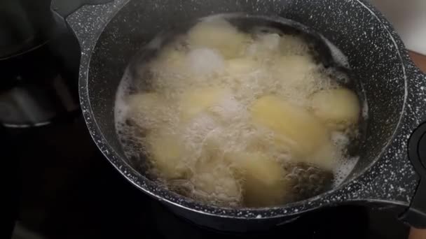 Kentang Dimasak Dalam Pot Atas Kompor Induksi — Stok Video