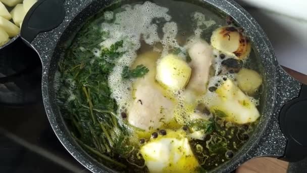 野菜やスパイスを鍋にストーブの上で調理鶏のスープ 自家製ディナーの準備 — ストック動画