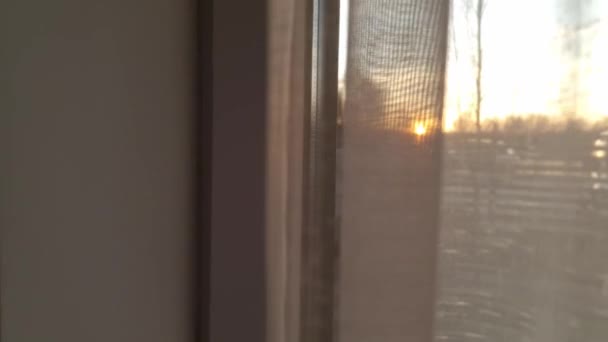 Morning Sun Shines Transparent Curtains New Day Concept — Stockvideo