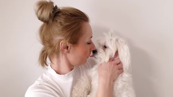 Young Woman Holding White Maltese Dog Her Shoulder Dog His — Stok Video