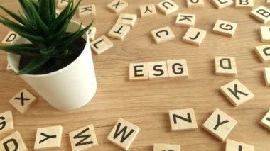 Kelime olarak ESG olan tahta küpler. Çevresel Sosyal Yönetim kavramı