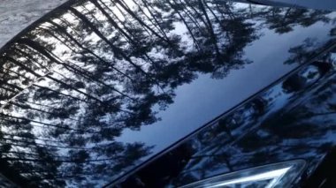 Orman ağaçları arabaya yansıdı. Yolculuk, açık hava seyahati, tatil konsepti.