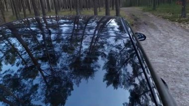 Ağaçların yansıması, araba yolculuğu ve ulaşım konsepti olan yeşil orman yolunda park edilmiş arabanın arka görüntüsü
