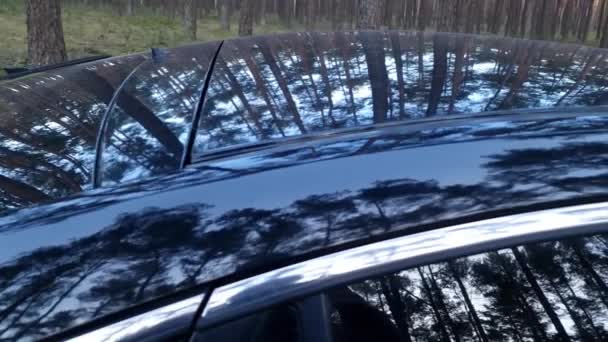 車のボディ上の松林の反射 アウトドアライフスタイル ロードトリップ 旅行のコンセプト — ストック動画