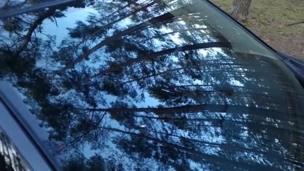 森林边停车场的近景 有树木倒影 旅行理念 — 图库视频影像