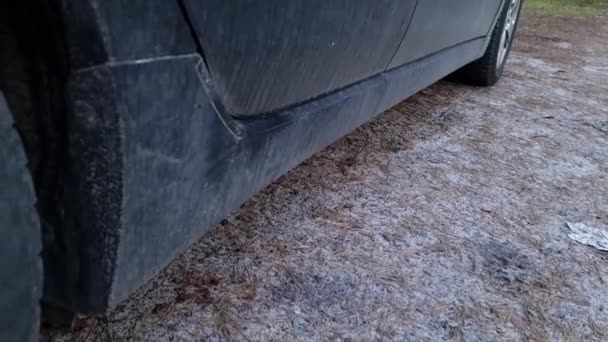 Špinavé Černé Auto Zaparkované Lese Doprava Cestovní Koncepce — Stock video