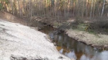 Vahşi dağ nehri kanyonu ve saf su. Sakin doğa manzarası