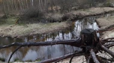 Saf suyla vahşi dağ nehri. Sakin doğa manzarası