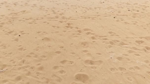 Pegadas Areia Praia Liberdade Férias Conceitos Temporada Verão — Vídeo de Stock
