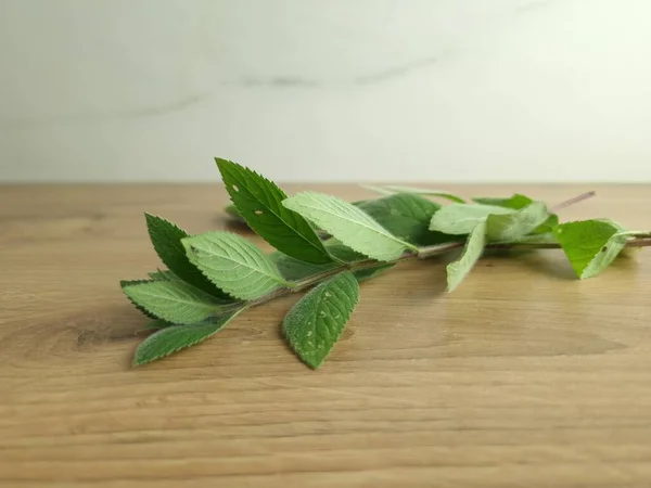 Green Fresh Mint Wooden Table — Stock Photo, Image