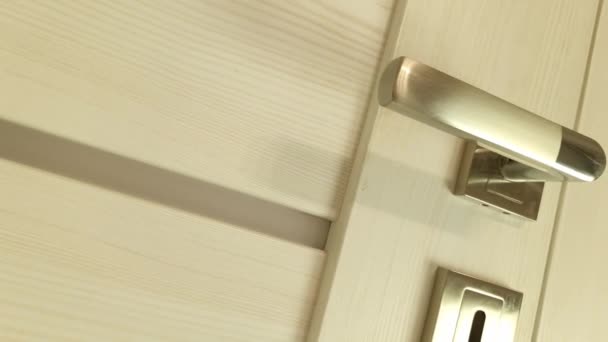 Elegante Novo Botão Porta Metal Porta Interior Moderna Porta Prateada — Vídeo de Stock