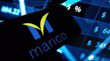 Konskie, Polonya - 24 Aralık 2024: Marico Limited şirket logosu cep telefonunda sergilendi