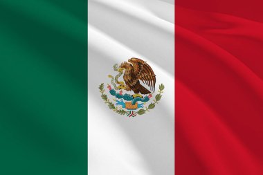 flag of mexico in grunge texture