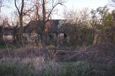 A weathered, dilapidated house stands forgotten in a rural landscape, its structure crumbling and surrounded by dense, wild vegetation. The scene evokes a sense of abandonment, history, and the passage of time.