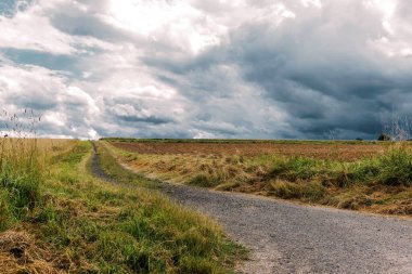 Dramatic rural landscape with a field of golden wheat in the foreground, a lush green strip of cornfield in the middle, and large, moody storm clouds building up in the blue sky above.