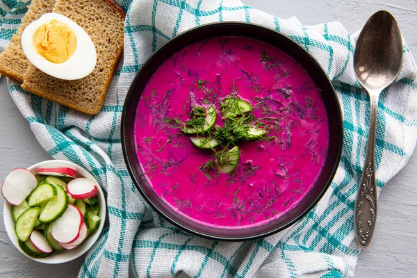 Litvanya çorbası chlodnik, salatalık, turp ve yumurta. Lezzetli sağlıklı yemek, üst manzara.. 