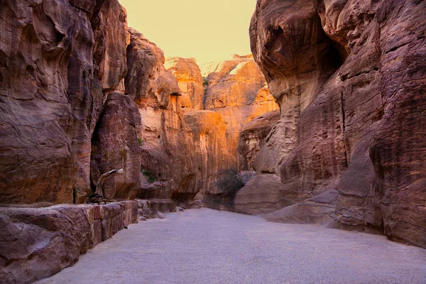 Kleurrijke Siq Canyon Petra Jordanië Stenen Muren Natuurlijke Vorming — Stockfoto