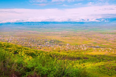 Gürcistan 'ın Kakheti bölgesindeki üzüm bağı vadisi. İlkbaharda Alazani vadisi, güzel manzara. 