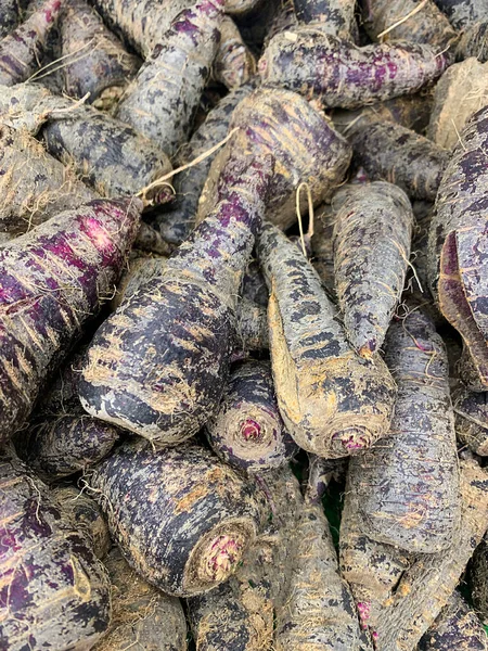 Sortiment Frischen Lila Karotten Supermarkt Oder Auf Dem Markt Von — Stockfoto