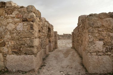 Amman, Ürdün 'deki Citadel arkeoloji parkı. Roma antik kalıntıları. 