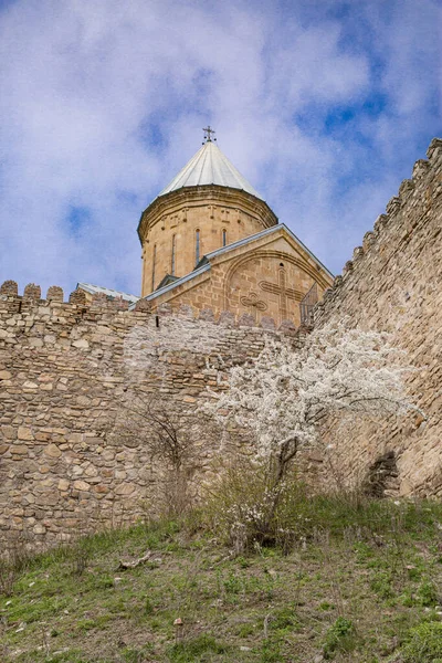 Gürcistan 'daki Ananuri Kalesi kompleksi Gürcistan askeri yolunda, ilkbahar mavi gökyüzü ve çiçek açan ağaçlar. 