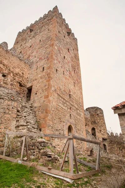 Ananuri Fortress Tower Komplex Georgien Den Georgiska Militärvägen — Stockfoto