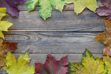 Renkli kuru yapraklar çerçevesi sonbahar arkaplanı, üst manzara. Boşluğu kopyala, metin için boşluk. Şükran Günü geçmişi. Kırsal kahverengi arkaplan. 