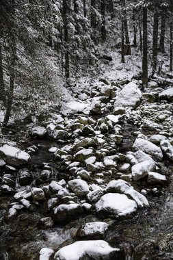 Güzel kış nehri karla kaplı taşlarla. 