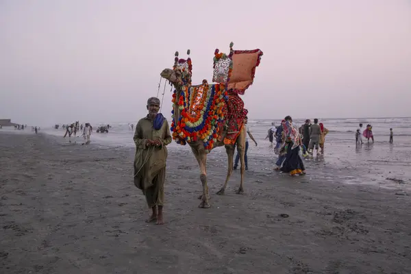 Września 2023 Karaczi Pakistan Miejscowi Ludzie Wielbłądem Turystami Plaży Clifton Zdjęcie Stockowe