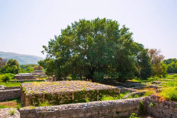 26 Eylül 2023 Taxila, Pakistan. Eski Sirkap kaldı.. 
