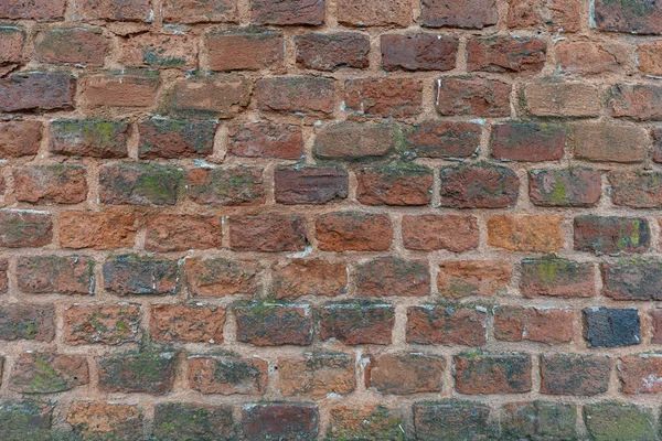 a wall of red bricks of various shades, covered with green moss and chips, with signs of destruction. background texture