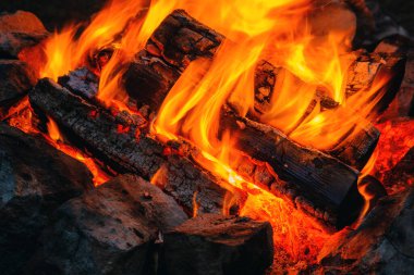 Fragment of a burning fire from wooden coniferous firewood.