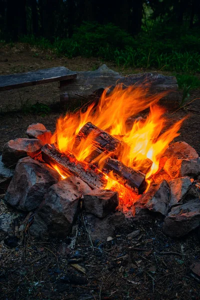 The burning fire from wooden coniferous firewood.