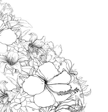 Beyaz arkaplanda yapraklardan ve çiçeklerden oluşan siyah beyaz bir çizgi çiz 