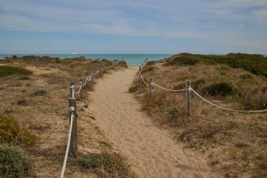 Direkleri ve kumsal otlarıyla denize giden kumlu bir yol. Balear Denizi, İspanya