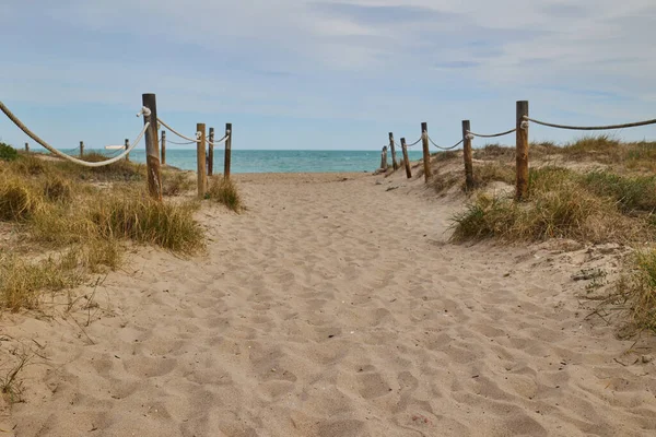 Sandy Path Sea Poles Beach Grass Balearic Sea Spain — Stock Photo, Image