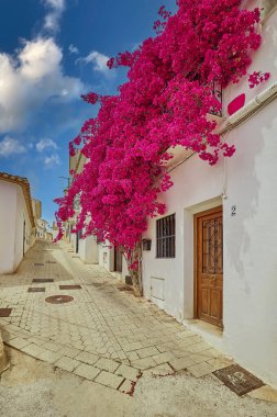 Eski bir İspanyol kasabasının dar bir sokağında beyaz bir evin arka planına karşı kırmızı buganvelia. Altea. İspanya.