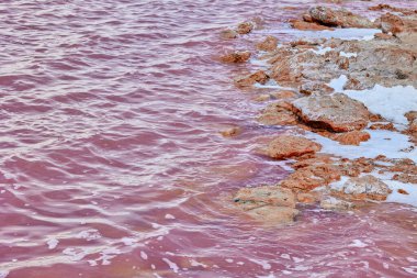 Tuz ve köpük bir sahilde pembe renkli suyla güzel bir tuz gölünde. Torrevieja 'nın Pembe Gölü. İspanya.