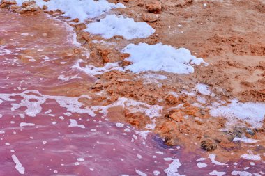 Tuz ve köpük bir sahilde pembe renkli suyla güzel bir tuz gölünde. Torrevieja 'nın Pembe Gölü. İspanya.