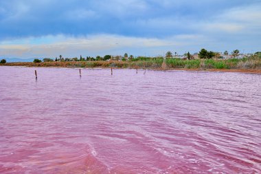 Pembe renkli suyu olan güzel bir tuz gölü. Gölden sahile bak. Torrevieja 'nın Pembe Gölü İspanya.