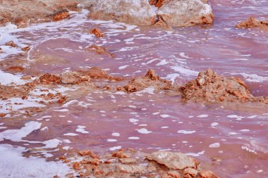 Tuz ve köpük bir sahilde pembe renkli suyla güzel bir tuz gölünde. Torrevieja 'nın Pembe Gölü. İspanya.