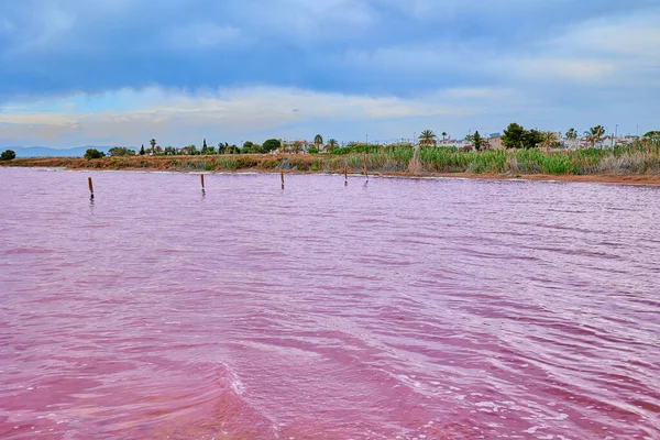 Beautiful salt lake with pink colored water. View from the lake to the shore. Pink Lake of Torrevieja.. Spain.