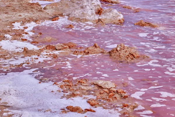 Tuz ve köpük bir sahilde pembe renkli suyla güzel bir tuz gölünde. Torrevieja 'nın Pembe Gölü. İspanya.