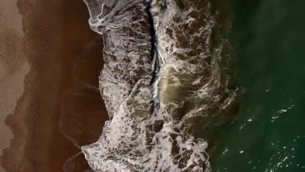 Серфінг Піщаному Пляжі Вид Зверху Відео Безпілотника Сценарій — стокове відео