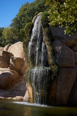 Bitkiler ve taşlarla dolu küçük şelale