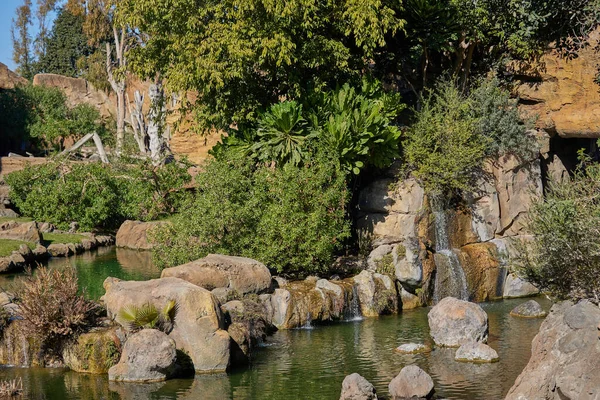 Manzara Ağaçlar Kayalar Taşlar Küçük Bir Nehir — Stok fotoğraf
