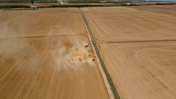 Schießen Von Einer Drohne Die Über Einen Traktor Mit Eggenanlage — Stockvideo